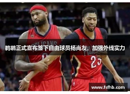 鹈鹕正式宣布签下自由球员杨尚友，加强外线实力