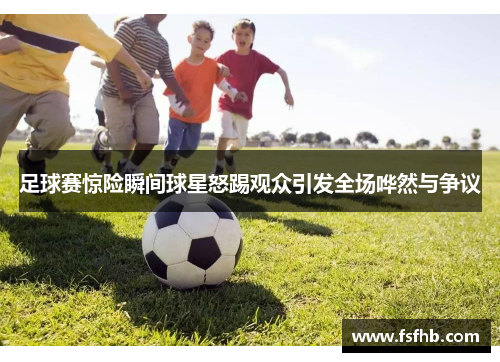 足球赛惊险瞬间球星怒踢观众引发全场哗然与争议