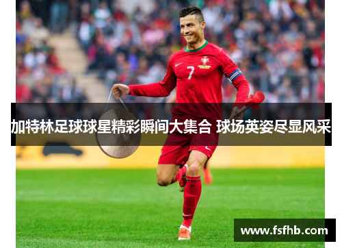加特林足球球星精彩瞬间大集合 球场英姿尽显风采